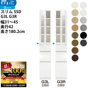 y11/20 2l1lő100|CgobNz܂ X SSD  [Ƌ  Z~I[_[ Lrlbg 31-45×s42×180.2cm SSD G3L G3R_ VXL}  _