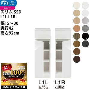 y11/20 2l1lő100|CgobNz܂ X SSD  [^Cv  Z~I[_[ ^Cv 15-30×s42×92cm SSD L1L L1R_ VXL}  _