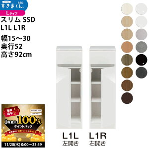 y11/20 2l1lő100|CgobNz܂ X SSD  [^Cv  Z~I[_[ ^Cv 15-30×s52×92cm SSD L1L L1R_ VXL}  _