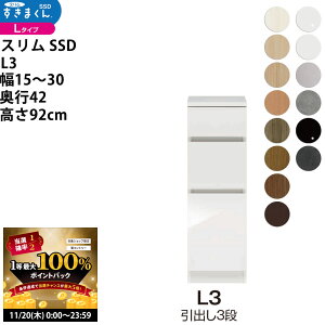 y11/20 2l1lő100|CgobNz܂ X SSD  [^Cv  Z~I[_[ o3i^Cv 15-30×s42×92cm SSD L3_ VXL}  _