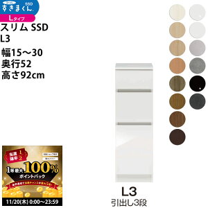 y11/20 2l1lő100|CgobNz܂ X SSD  [^Cv  Z~I[_[ o3i^Cv 15-30×s52×92cm SSD L3_ VXL}  _