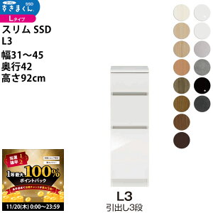 y11/20 2l1lő100|CgobNz܂ X SSD  [^Cv  Z~I[_[ o3i^Cv 31-45×s42×92cm SSD L3_ VXL}  _