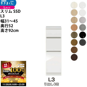 y11/20 2l1lő100|CgobNz܂ X SSD  [^Cv  Z~I[_[ o3i^Cv 31-45×s52×92cm SSD L3_ VXL}  _