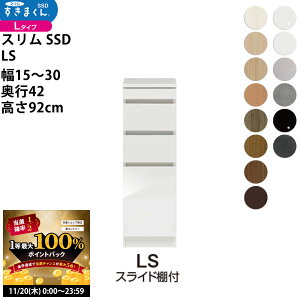 y11/20 2l1lő100|CgobNz܂ X SSD  [^Cv  Z~I[_[ XChIt^Cv 15-30×s42×92cm SSD LS_ VXL}  _