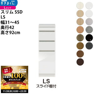 y11/20 2l1lő100|CgobNz܂ X SSD  [^Cv  Z~I[_[ XChIt^Cv 31-45×s42×92cm SSD LS_ VXL}  _