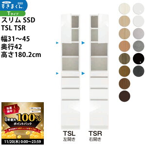 y11/20 2l1lő100|CgobNz܂ X SSD  [Ƌ  Z~I[_[ Lrlbg XChIt^Cv 31-45×s42×180.2cm SSD TSL TSR_ VXL} 