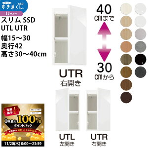 y11/20 2l1lő100|CgobNzX܂SSD  [Ƌ   Z~I[_[ u^Cv 15-30×s42×30-40cm SSD UTL UTR_ XL}   V_