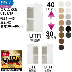 y11/20 2l1lő100|CgobNzX܂SSD  [Ƌ   Z~I[_[ u^Cv 31-45×s42×30-40cm SSD UTL UTR_ XL}   V_