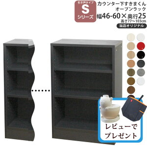 JE^[ [ I[vbN s25cm S ܂ XIWi ˃V[Yp IWi 46-60×s25×60-103cm JE^[[_ Z~I[_[ V _