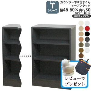JE^[ [ I[vbN s30cm^Cv T ܂ XIWi JV[Yp IWi 46-60×s28×60-103cm JE^[[_ Z~I[_[ V _