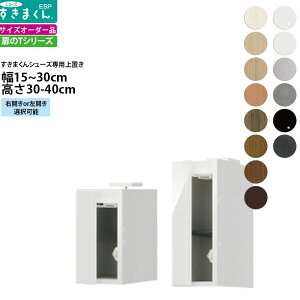 ܂ V[Y {bNXbNpu ESP-UT 15-30×s39.7×30-40cm  u^Cv Z~I[_[ tWC i_ {  k Ƌ   V_
