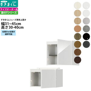 ܂ V[Y {bNXbNpu ESP-UT 31-45×s39.7×30-40cm  u^Cv Z~I[_[ tWC i_ {  k Ƌ   V_