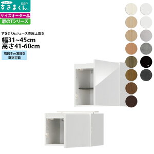 ܂ V[Y {bNXbNpu ESP-UT 31-45×s39.7×41-60cm  u^Cv Z~I[_[ tWC i_ {  k Ƌ   V_