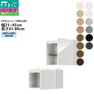 ܂ V[Y {bNXbNpu ESP-UT 31-45×s39.7×61-80cm  u^Cv Z~I[_[ tWC i_ {  k Ƌ   V_