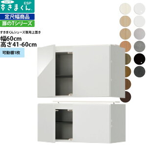 ܂ V[Y {bNXbNpu ESP-UWT60 60×s39.7×41-60cm u^Cv Z~I[_[ tWC i_ {  k Ƌ   V_