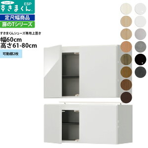 ܂ V[Y {bNXbNpu ESP-UWT60 60×s39.7×61-80cm u^Cv Z~I[_[ tWC i_ {  k Ƌ   V_
