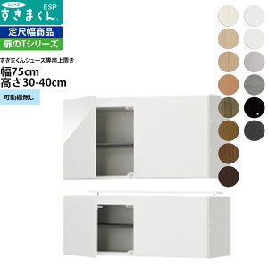 ܂ V[Y {bNXbNpu ESP-UWT75 75×s39.7×30-40cm u^Cv Z~I[_[ tWC i_ {  k Ƌ   V_