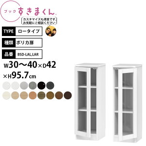 ܂ {I i gsv ubN [^Cv |J 30-40×s42×95.7cm BSD-LAL LGR_ Z~I[_[