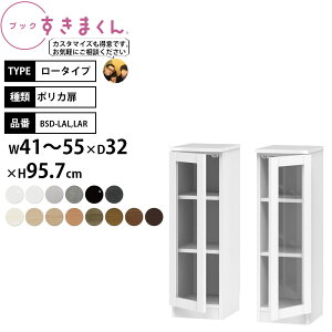 ܂ {I i gsv ubN [^Cv |J 41-55×s32×95.7cm BSD-LAL LGR_ Z~I[_[