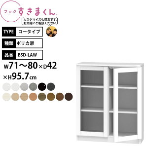 ܂ {I i gsv ubN [^Cv |J 71-80×s42×95.7cm BSD-LAW_ Z~I[_[
