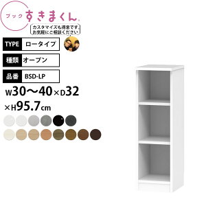 ܂ {I i gsv ubN [^Cv I[v 30-40×s32×95.7cm BSD-LP_ Z~I[_[