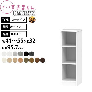 ܂ {I i gsv ubN [^Cv I[v 41-55×s32×95.7cm BSD-LP_ Z~I[_[