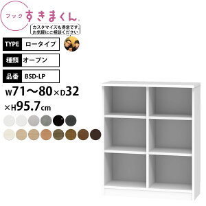 ܂ {I i gsv ubN [^Cv I[v 71-80×s32×95.7cm BSD-LPW_ Z~I[_[