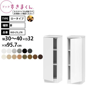 ܂ {I i gsv ubN [^Cv  30-40×s32×95.7cm BSD-LTL LTR_ Z~I[_[
