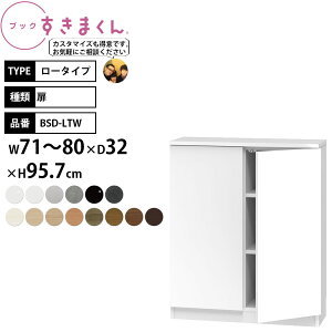 ܂ {I i gsv ubN [^Cv  71-80×s32×95.7cm BSD-LTW_ Z~I[_[