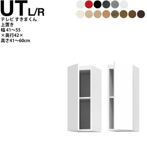 ܂ er LSD u 41`55×s42.2×41~60cm UTL UTR er{[h Z~I[_[ rO { Ƌ