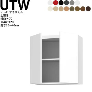 ܂ er LSD u 56`70×s42.2×30~40cm UTW er{[h Z~I[_[ rO { Ƌ