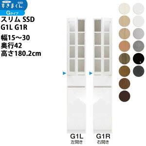 ܂ X SSD  [Ƌ  Z~I[_[ Lrlbg 15-30×s42×180.2cm SSD G1L G1R_ V tWC i{ Y_