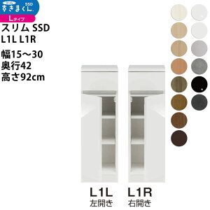 ܂ X SSD  [^Cv  Z~I[_[ ^Cv 15-30×s42×92cm SSD L1L L1R_ VXL}  _