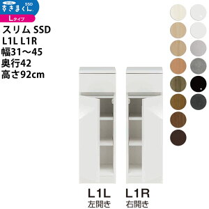 ܂ X SSD  [^Cv  Z~I[_[ ^Cv 31-45×s42×92cm SSD L1L L1R_ VXL}  _