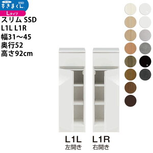 ܂ X SSD  [^Cv  Z~I[_[ ^Cv 31-45×s52×92cm SSD L1L L1R_ VXL}  _