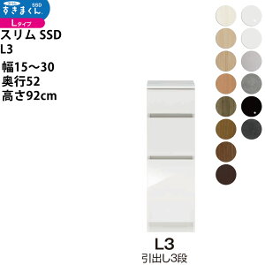 ܂ X SSD  [^Cv  Z~I[_[ o3i^Cv 15-30×s52×92cm SSD L3_ VXL}  _