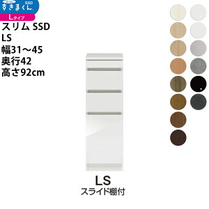 ܂ X SSD  [^Cv  Z~I[_[ XChIt^Cv 31-45×s42×92cm SSD LS_ VXL}  _