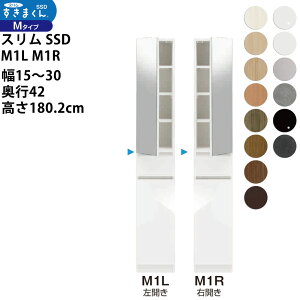 ܂ X SSD  [Ƌ  Z~I[_[ ~[Lrlbg 15-30×s42×180.2cm SSD M1L M1R_ VXL}  _