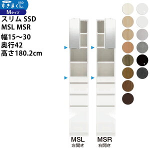 ܂ X SSD  [Ƌ  Z~I[_[ ~[Lrlbg XChIt^Cv 15-30×s42×180.2cm SSD MSL MSR_ VXL}  _
