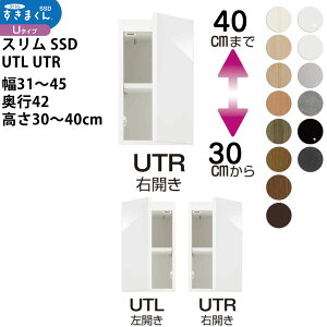 X܂SSD  [Ƌ   Z~I[_[ u^Cv 31-45×s42×30-40cm SSD UTL UTR_ XL}   V_