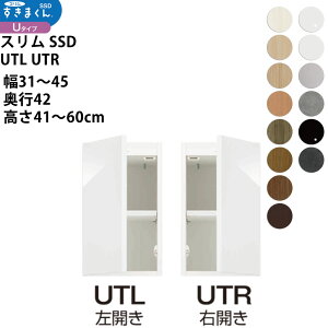 X܂SSD  [Ƌ   Z~I[_[ u^Cv 31-45×s42×61-80cm SSD UTL UTR_ XL}   V_