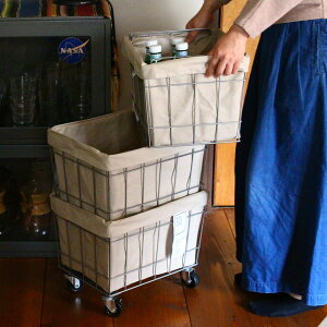 y12/10 2l1lő100|CgobNzy݌ɏZ[zX^bLO oXPbg 3 LX^[t 􂦂Jo[ 36×s27×65cm [{bNX [ WIRE ARTS&PRO NX BRID