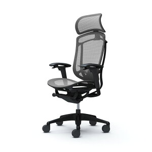 IJ RebT ZR_ CC85MS CC85ZS ^ŒwbhXg t[:ubN {fB:ubN :bV AWXgA[ o[T|[gt