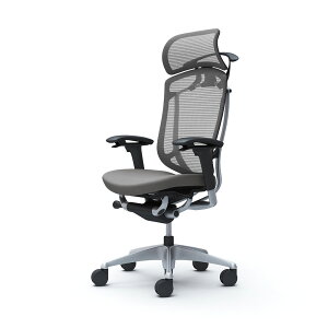 IJ RebT ZR_ CC88GR CC88YR ^ŒwbhXg t[:SV{fB:BK:NbV AWXgA[ nK[t