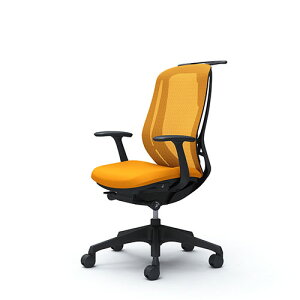 IJ VtB[ C646XR nCobN bV fUCA[ ŒI r BKt[ nK[t