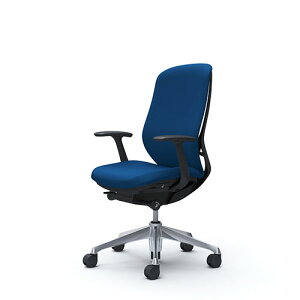 IJ VtB[ C647BR nCobN NbV fUCA[ ŒI A~r BKt[