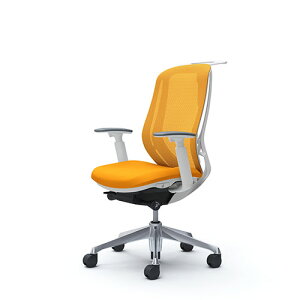 IJ VtB[ C686BW nCobN bV AWXgA[ A~r WHt[ nK[t