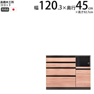 ؍H RRbg Lb` JE^[ 120 120.3×s45×92.7cm ~hnCJE^[ 1 Ɠd{[h HI V { i