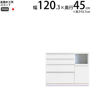 y12/5 2l1lő100|CgobNz؍H RRbg Lb` JE^[ 120 120.3×s45×92.7cm ~hnCJE^[ 1 Ɠd{[h HI V { i