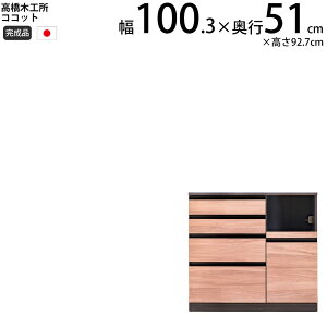 ؍H RRbg Lb` JE^[ 100 100.3×s51×92.7cm ~hnCJE^[ 1 Ɠd{[h HI V { i